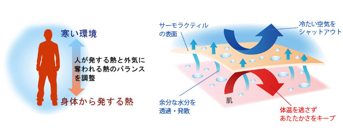 ダマール肌着繊維の仕組み